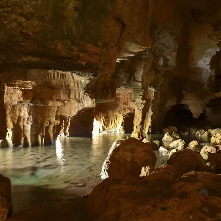 Plana D'elies فيلة