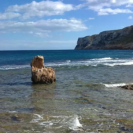 فيلة Plana D'elies دينايا